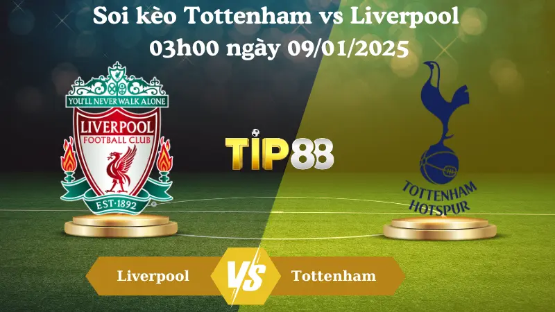 Nhận định soi kèo Tottenham vs Liverpool 03h00 ngày 09/01/2025 - League Cup TIP88