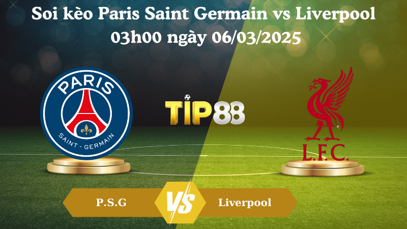Nhận định soi kèo Paris Saint Germain vs Liverpool 03h00 ngày 06/03/2025 - Champions League TIP88