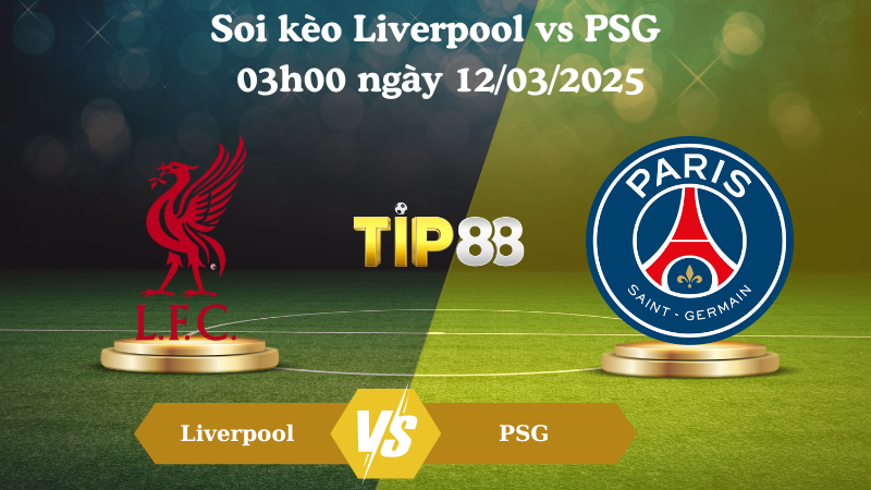 Nhận định soi kèo Liverpool vs PSG 03h00 ngày 12/03/2025 - Champions League TIP88