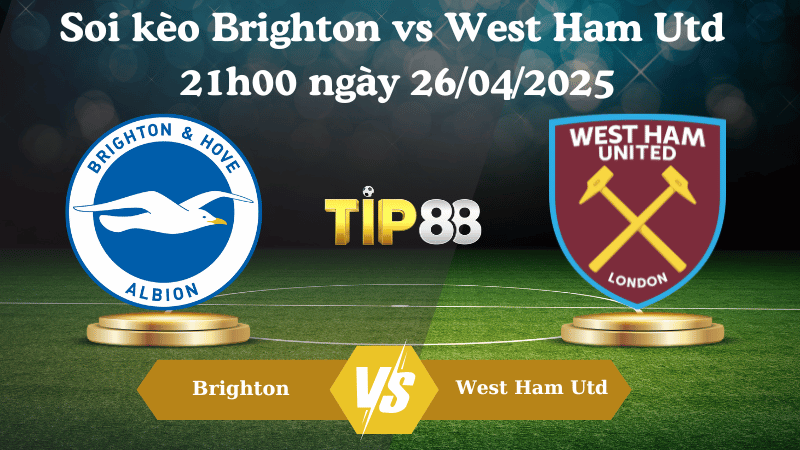 Nhận định soi kèo Brighton vs West Ham Utd 21h00 ngày 26/04/2025 - Ngoại hạng Anh TIP88
