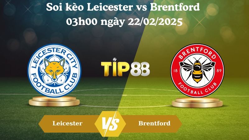 Nhận định soi kèo Leicester vs Brentford 03h00 ngày 22/02/2025 - Ngoại Hạng Anh TIP88