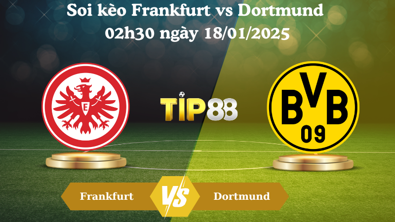 Nhận định soi kèo Frankfurt vs Dortmund 02h30 ngày 18/01/2025 - Bundesliga TIP88