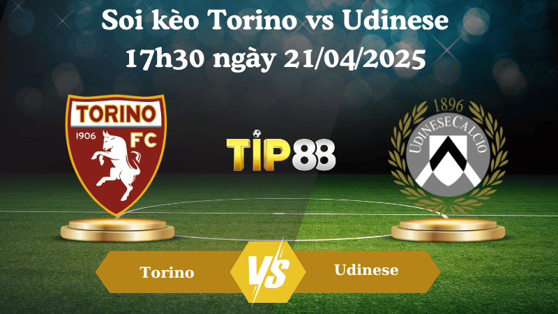 Nhận định soi kèo Torino vs Udinese 17h30 ngày 21/04/2025 - Serie A TIP88