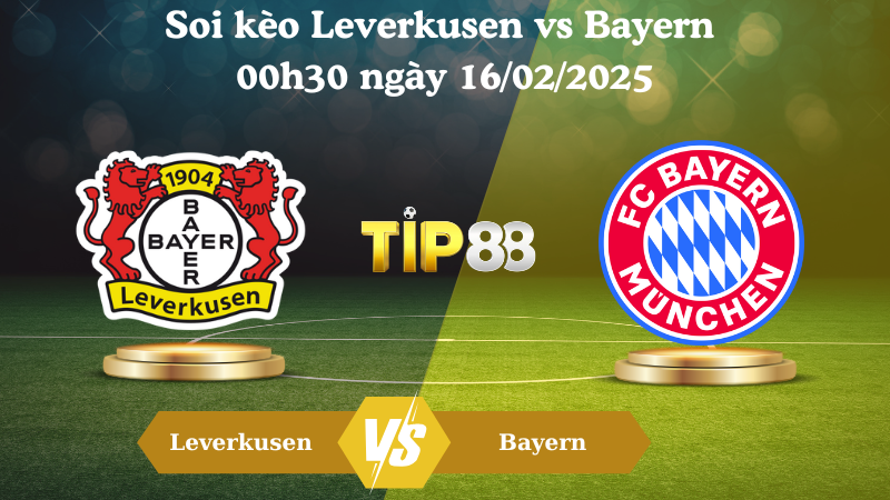 Nhận định soi kèo Leverkusen vs Bayern 00h30 ngày 16/02/2025 - Bundesliga TIP88