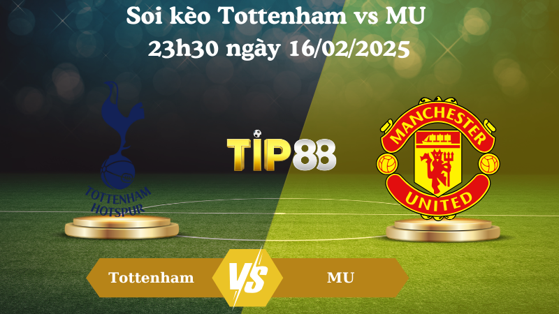 Nhận định soi kèo Tottenham vs MU 23h30 ngày 16/02/2025 - Ngoại Hạng Anh TIP88