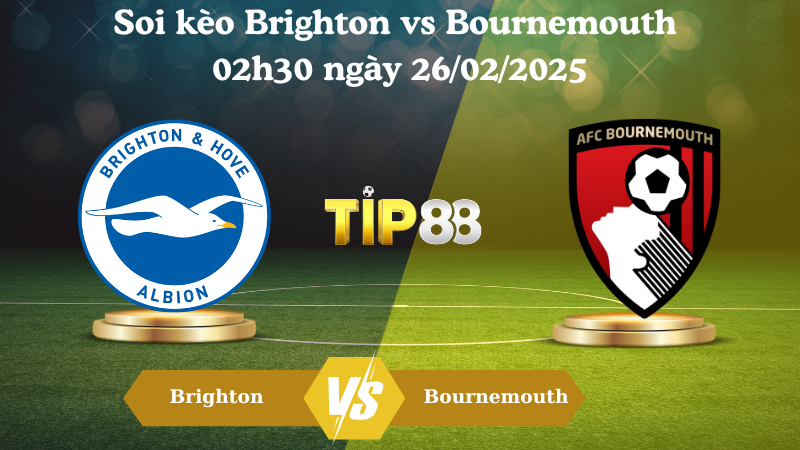 Nhận định soi kèo Brighton vs Bournemouth 02h30 ngày 26/02/2025 - Ngoại Hạng Anh TIP88