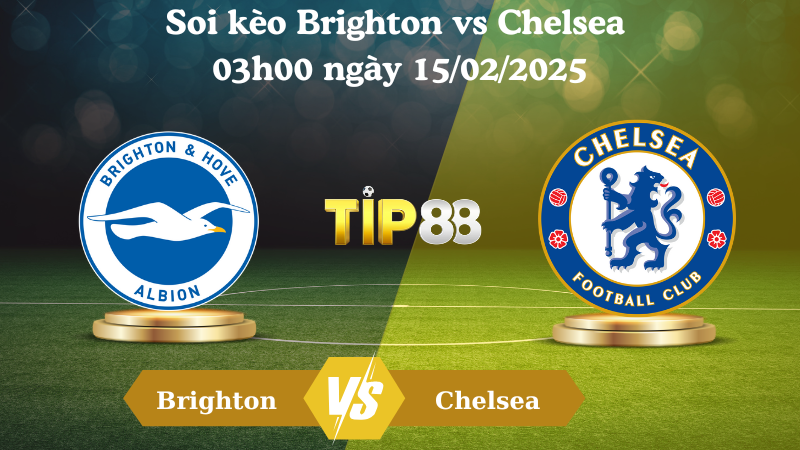 Nhận định soi kèo Brighton vs Chelsea 03h00 ngày 15/02/2025 - Ngoại Hạng Anh TIP88