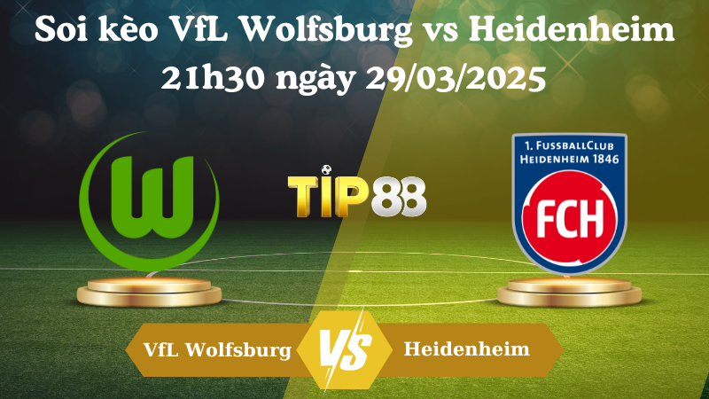 Nhận định soi kèo VfL Wolfsburg vs Heidenheim 21h30 ngày 29/03/2025 - Bundesliga TIP88