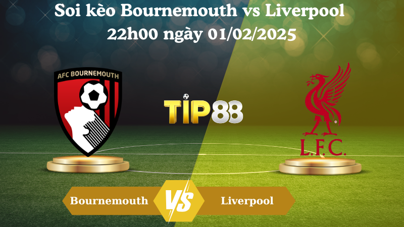 Nhận định soi kèo Bournemouth vs Liverpool 22h00 ngày 01/02/2025 - Ngoại Hạng Anh TIP88