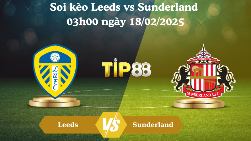 Nhận định soi kèo Leeds vs Sunderland 03h00 ngày 18/02/2025 - Championship TIP88