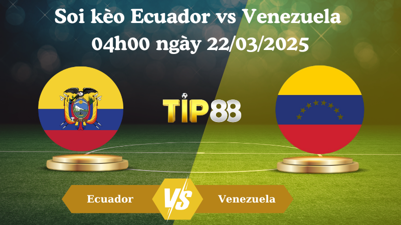 Nhận định soi kèo Ecuador vs Venezuela 04h00 ngày 22/03/2025 - Vòng loại World Cup 2026 TIP88