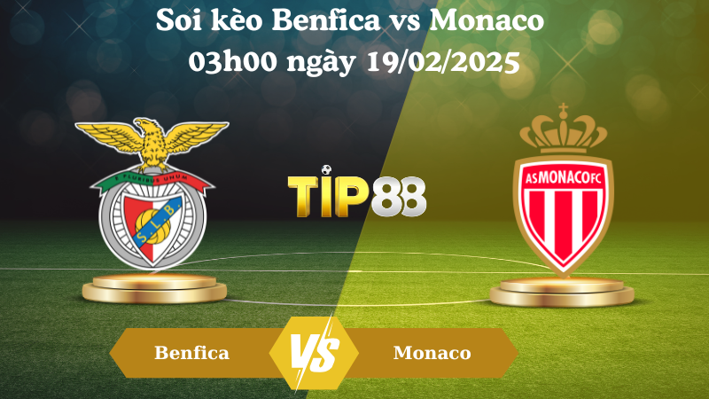 Nhận định soi kèo Benfica vs Monaco 03h00 ngày 19/02/2025 - Champions League TIP88