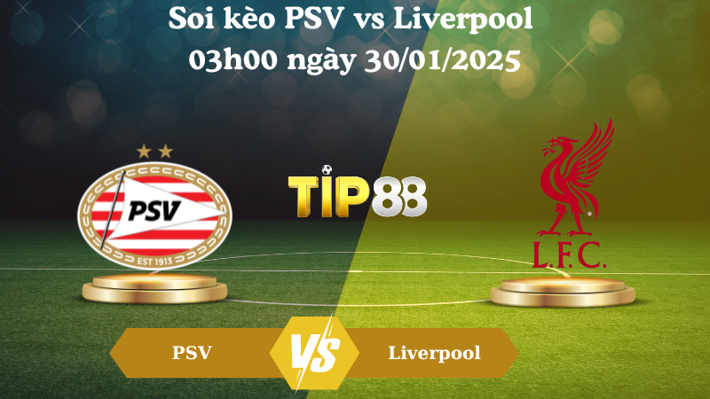Nhận định soi kèo PSV vs Liverpool 03h00 ngày 30/01/2025 - Champions League TIP88