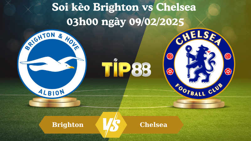 Nhận định soi kèo Brighton vs Chelsea 03h00 ngày 09/02/2025 - FA Cup TIP88