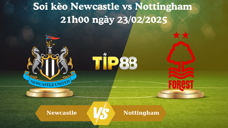 Nhận định soi kèo Newcastle vs Nottingham 21h00 ngày 23/02/2025 - Ngoại Hạng Anh TIP88