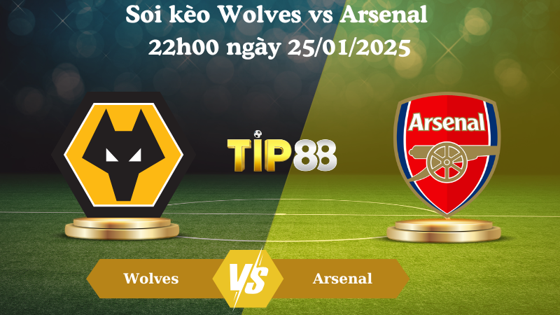 Nhận định soi kèo Wolves vs Arsenal 22h00 ngày 25/01/2025 - Ngoại Hạng Anh TIP88