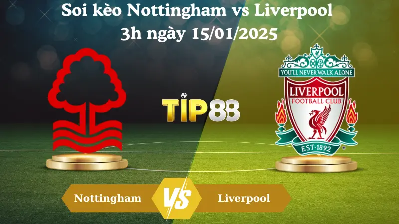 Nhận định soi kèo Nottingham vs Liverpool 3h ngày 15/01/2025 - Premier League TIP88