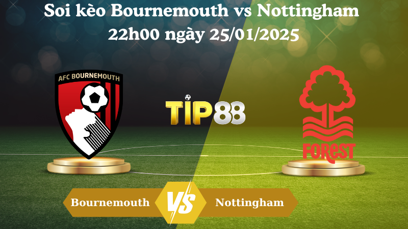 Nhận định soi kèo Bournemouth vs Nottingham 22h00 ngày 25/01/2025 - Ngoại Hạng Anh TIP88