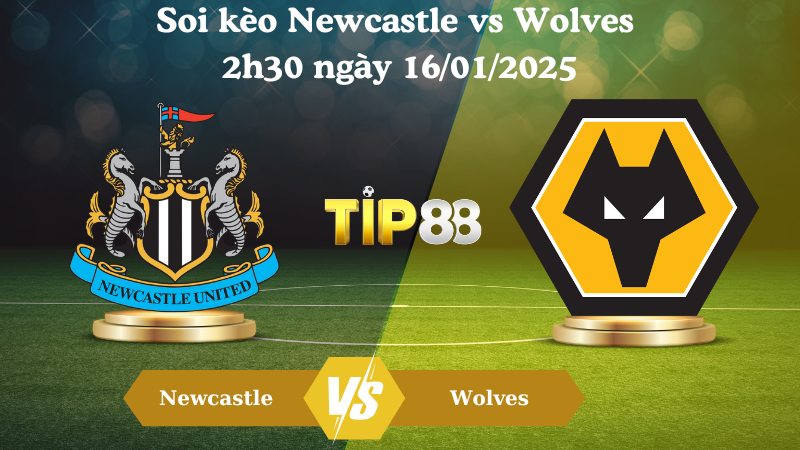 Nhận định soi kèo Newcastle vs Wolves 2h30 ngày 16/01/2025 - Premier League TIP88