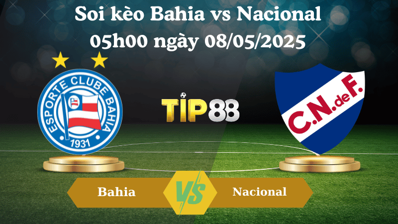 Nhận định soi kèo Bahia vs Nacional 05h00 ngày 08/05/2025 - Copa Libertadores TIP88