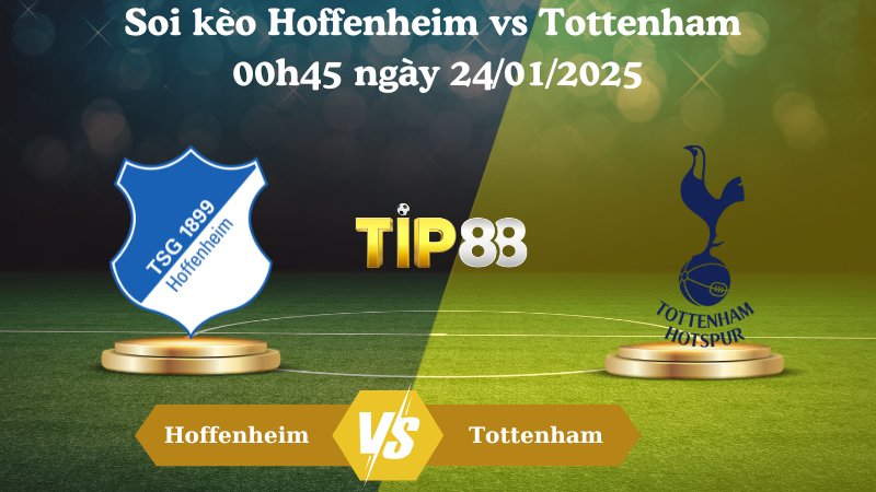 Nhận định soi kèo Hoffenheim vs Tottenham 00h45 ngày 24/01/2025 - Europa League TIP88