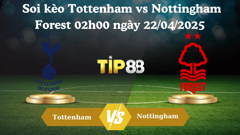 Nhận định soi kèo Tottenham vs Nottingham Forest 02h00 ngày 22/04/2025 - Ngoại hạng Anh TIP88