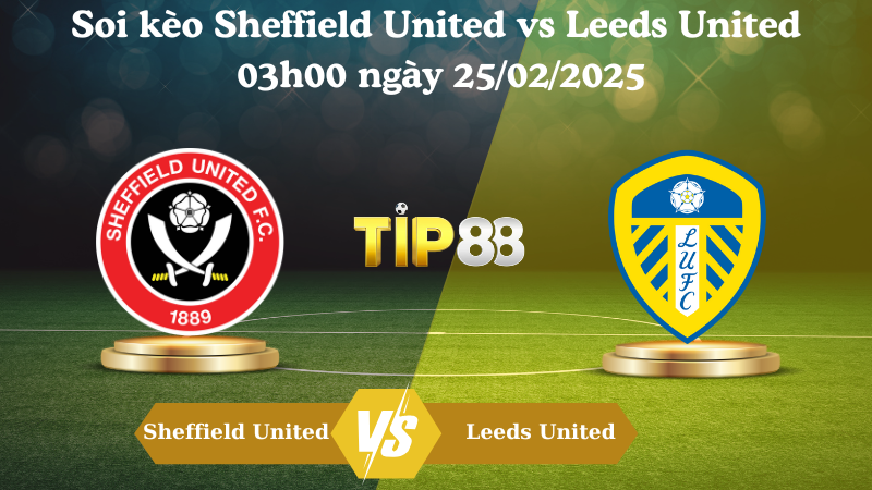 Nhận định soi kèo Sheffield United vs Leeds United 03h00 ngày 25/02/2025 - Championship TIP88