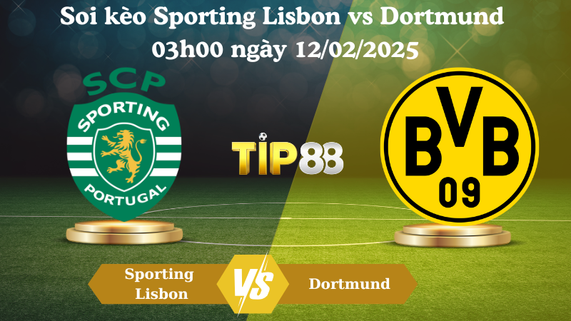 Nhận định soi kèo Sporting Lisbon vs Dortmund 03h00 ngày 12/02/2025 - Champions League TIP88