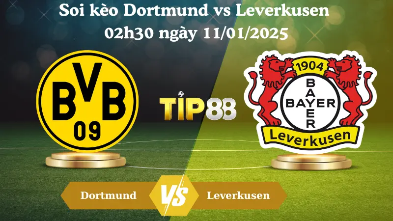 Nhận định soi kèo Dortmund vs Leverkusen 02h30 ngày 11/01/2025 - Bundesliga TIP88