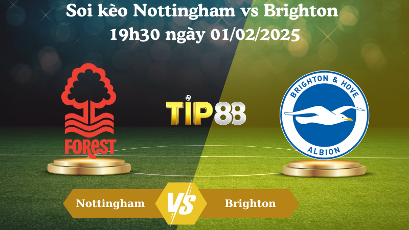 Nhận định soi kèo Nottingham vs Brighton 19h30 ngày 01/02/2025 - Ngoại Hạng Anh TIP88